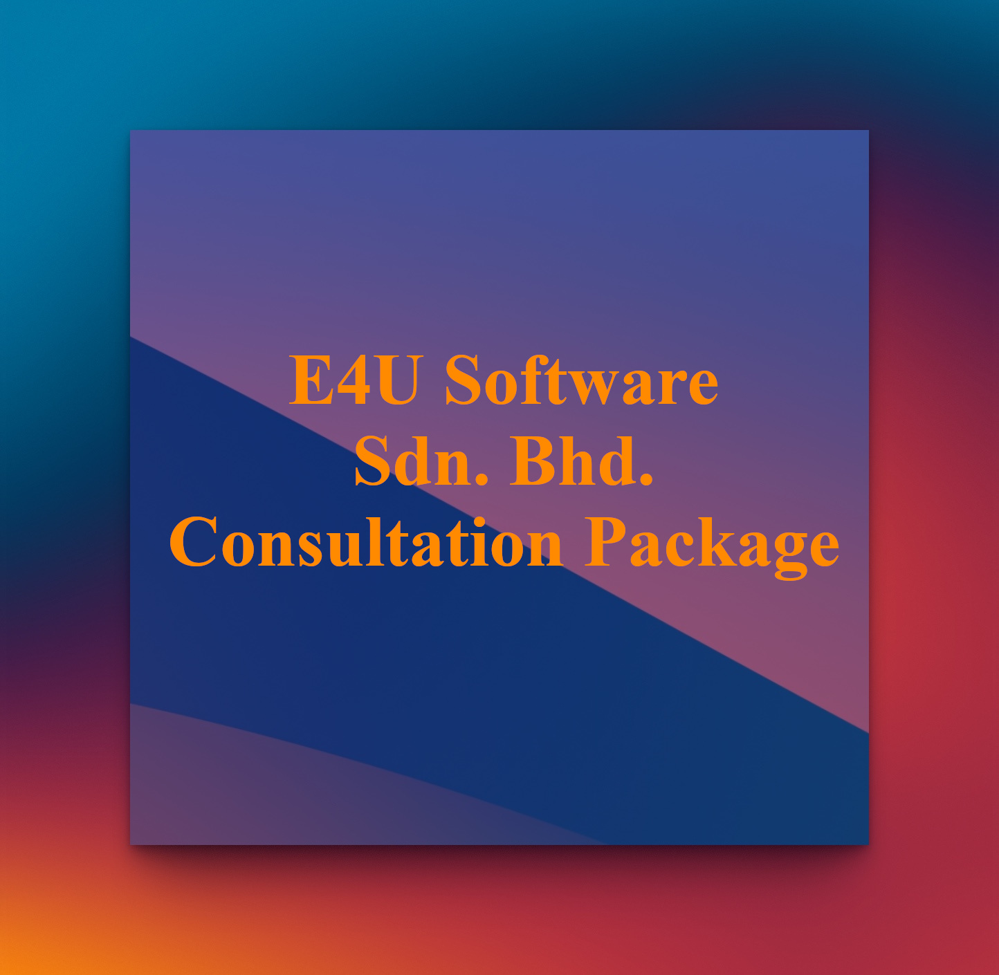 E4U Software Sdn. Bhd. Consultation Package